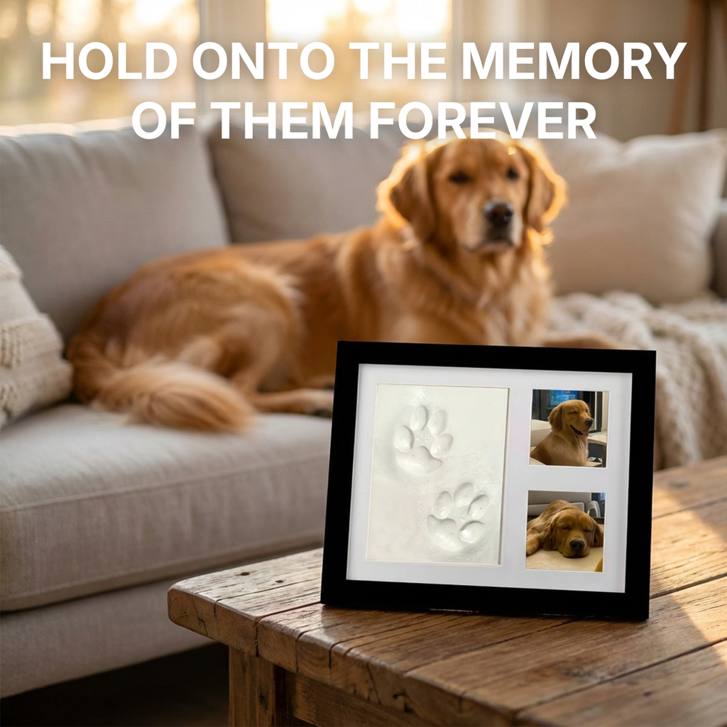 Forever Paws Clay Kit